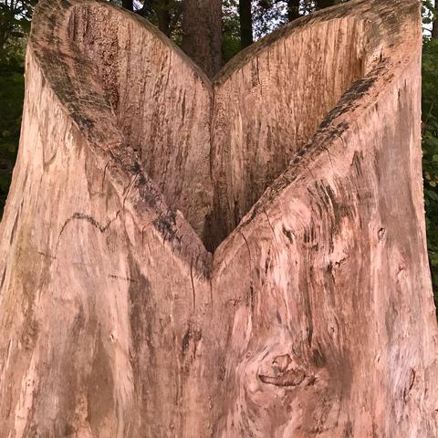 Sjamanistische Quest Wandeling