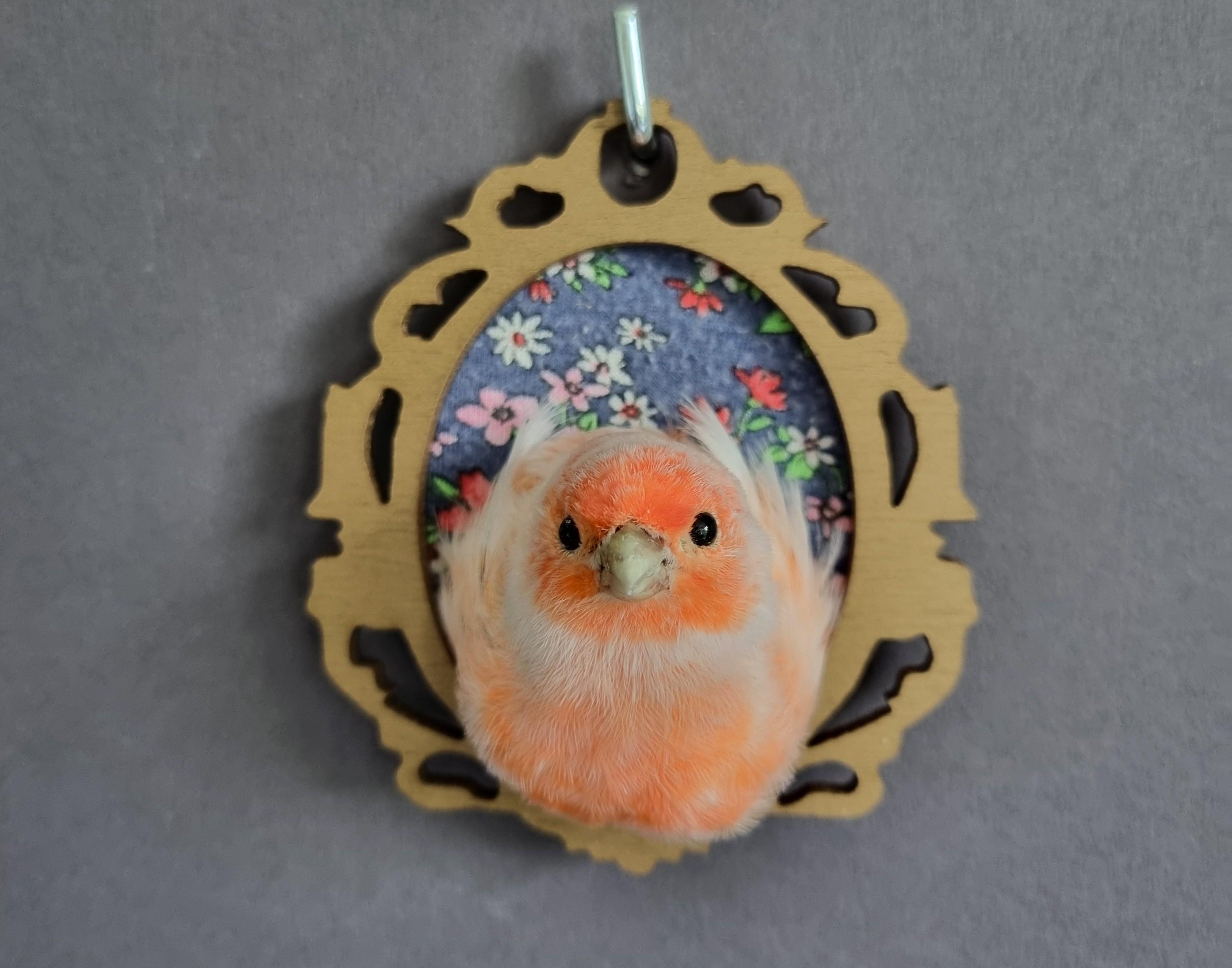 Workshop muis- of vogelkop prepareren  — foto 1