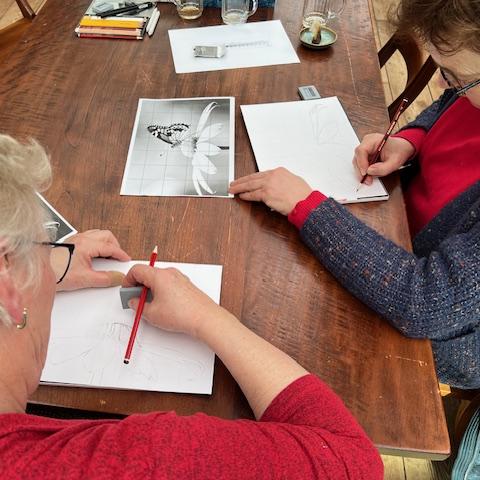 Workshop tekenen
