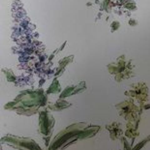 Bloemen in aquarel