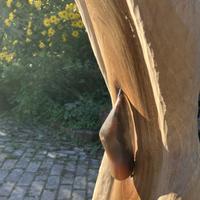 Stilteretraite Stilte in beeld