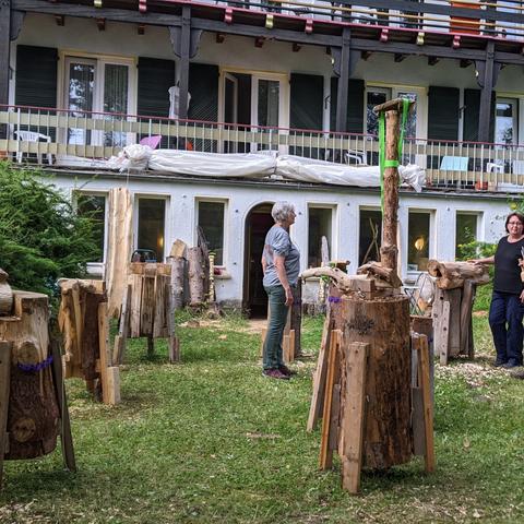 Vakantiecursus beeldhouwen in hout