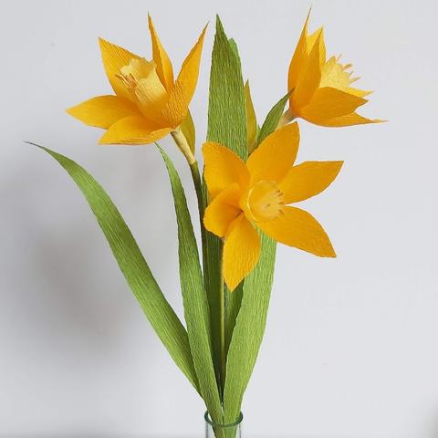 Workshop papieren bloemen GEVORDERDEN
