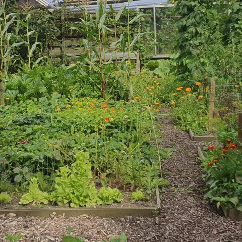 Cursus Ecologisch moestuinieren