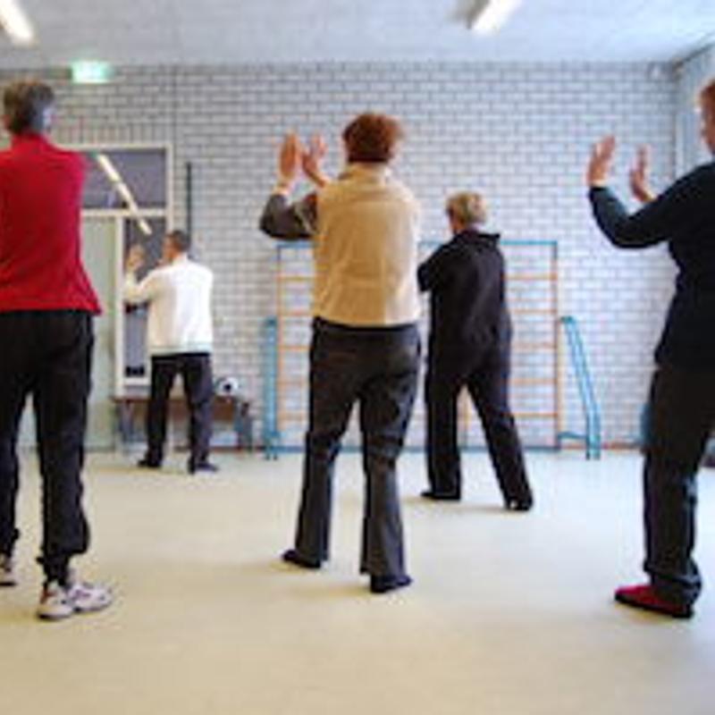 Tai Chi Tao Introductieles Witte Vlinder