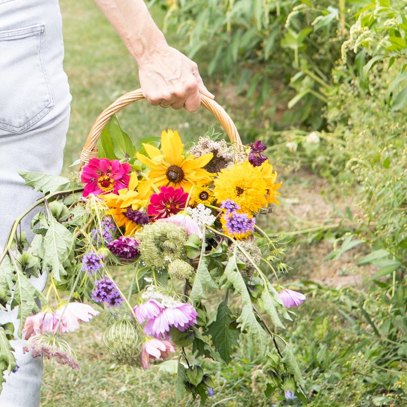 Workshop bloemen plukken & tegel maken 