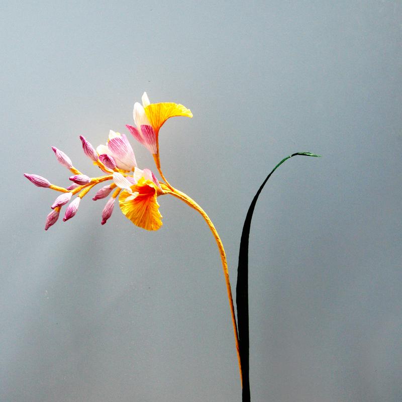 Een papieren bloem maken