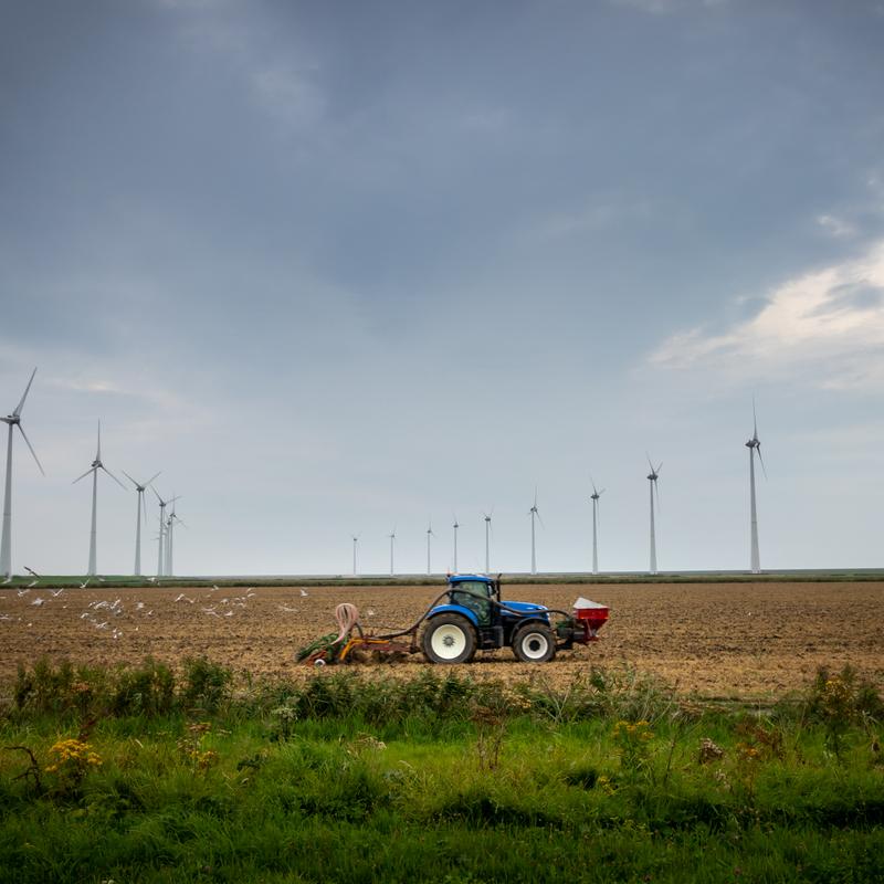 Fotoworkshop Groninger wad en landschap — foto 3