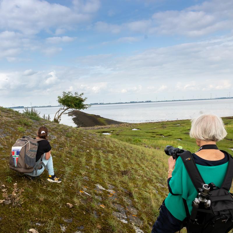 Fotoworkshop Groninger wad en landschap — foto 4