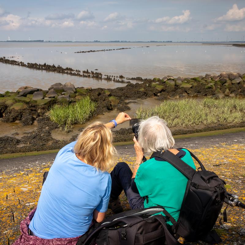 Fotoworkshop Groninger wad en landschap — foto 5