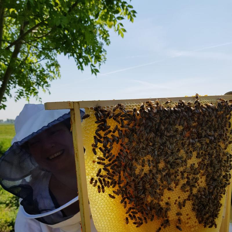 Basiscursus Natuurlijk Imkeren — foto 2