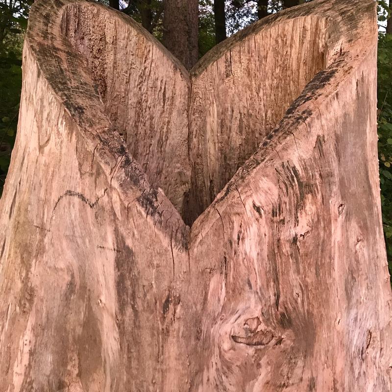 Sjamanistische Quest Wandeling — foto 2