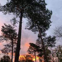 Sjamanistische Quest Wandeling