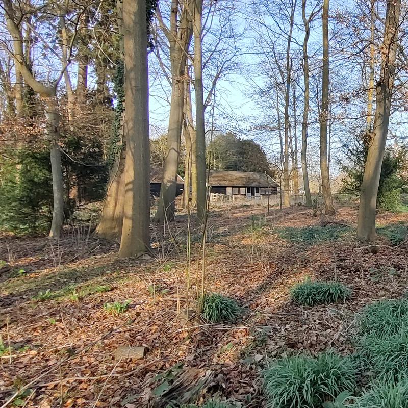 Beeldhouw 4-daagse — foto 2