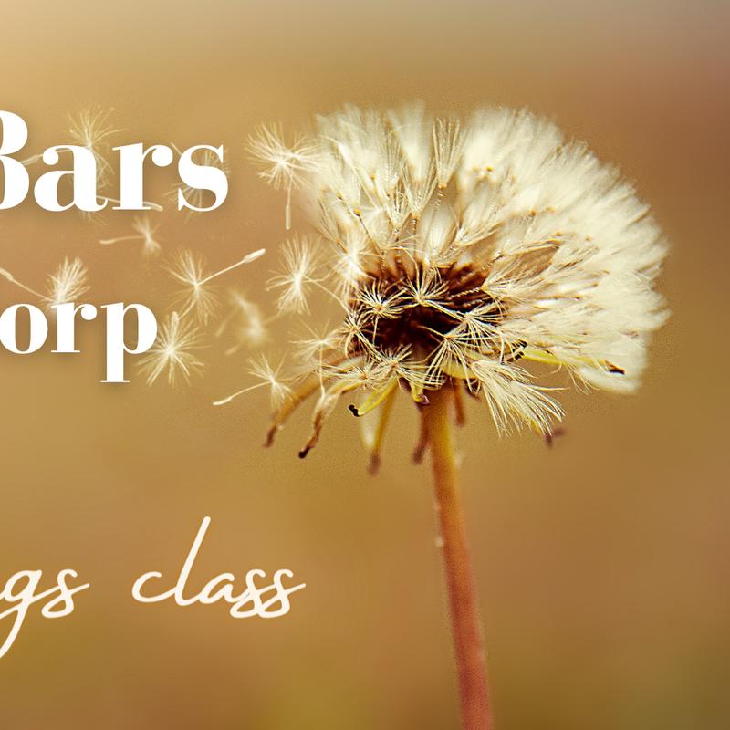 Access Bars Class/cursus Hoofddorp — foto 4
