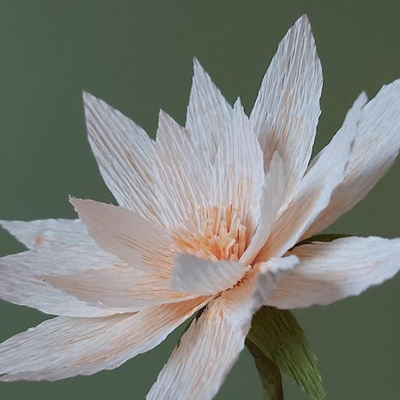 Moederdag workshop papieren bloemen — foto 5