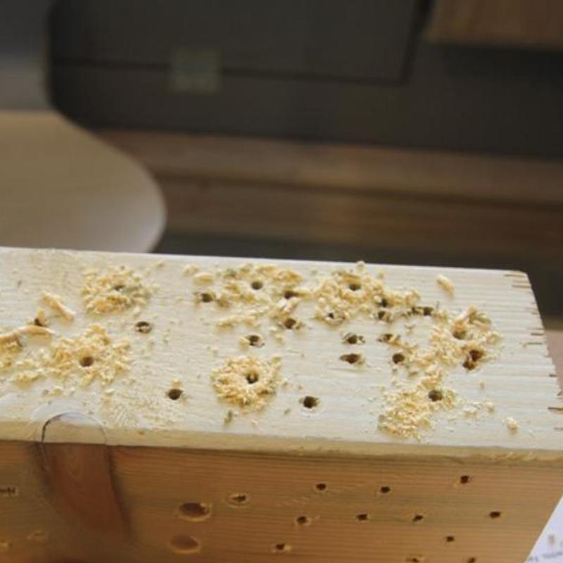 Klussen in huis voor beginners — foto 3