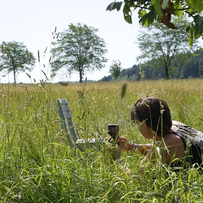 Workshop fotograferen met je mobiel — foto 5