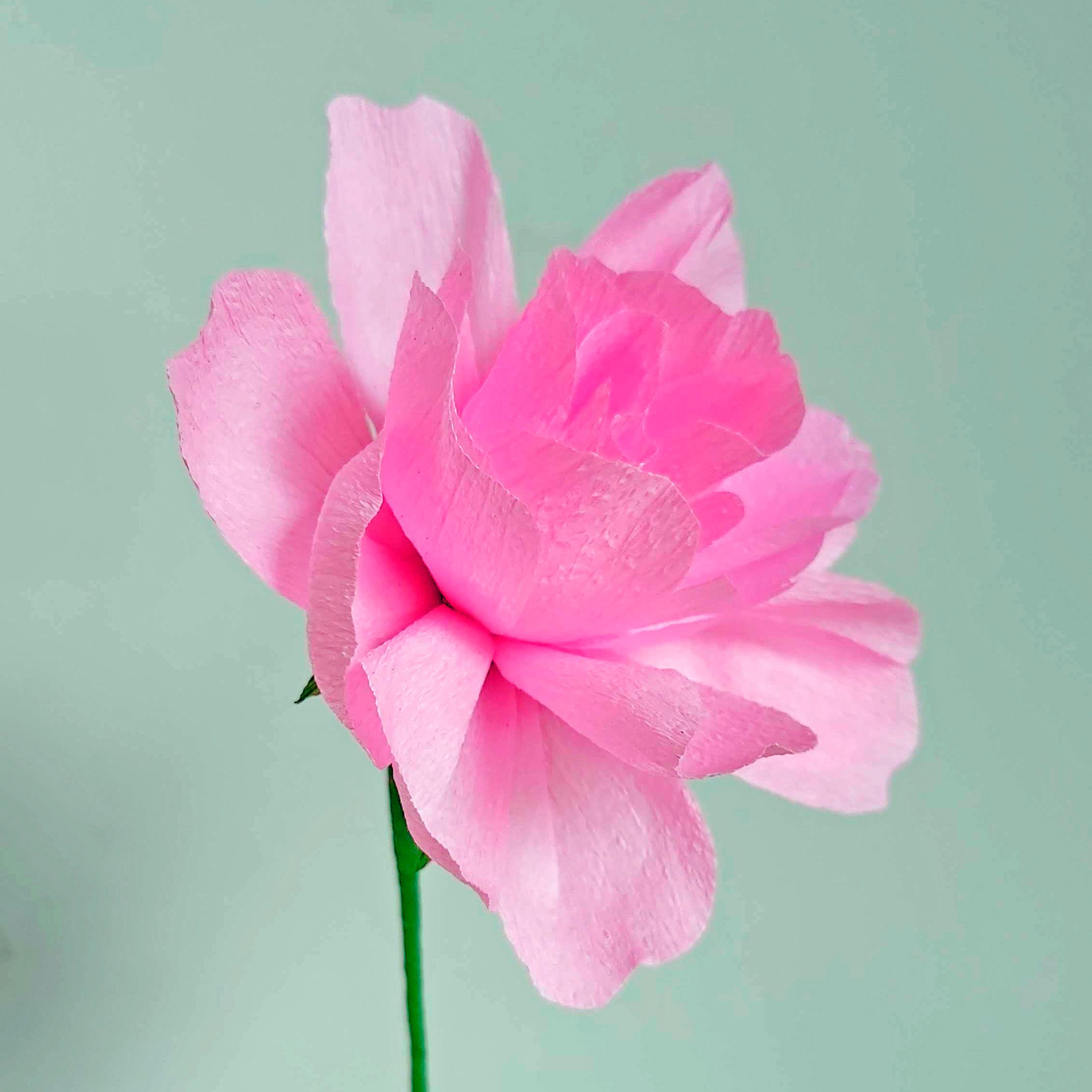 Papieren bloemen maken — foto 1