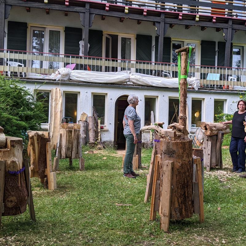 Vakantiecursus beeldhouwen in hout — foto 3