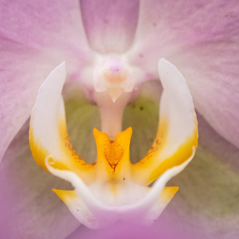 Fotoworkshop Macro en Beleef — foto 3