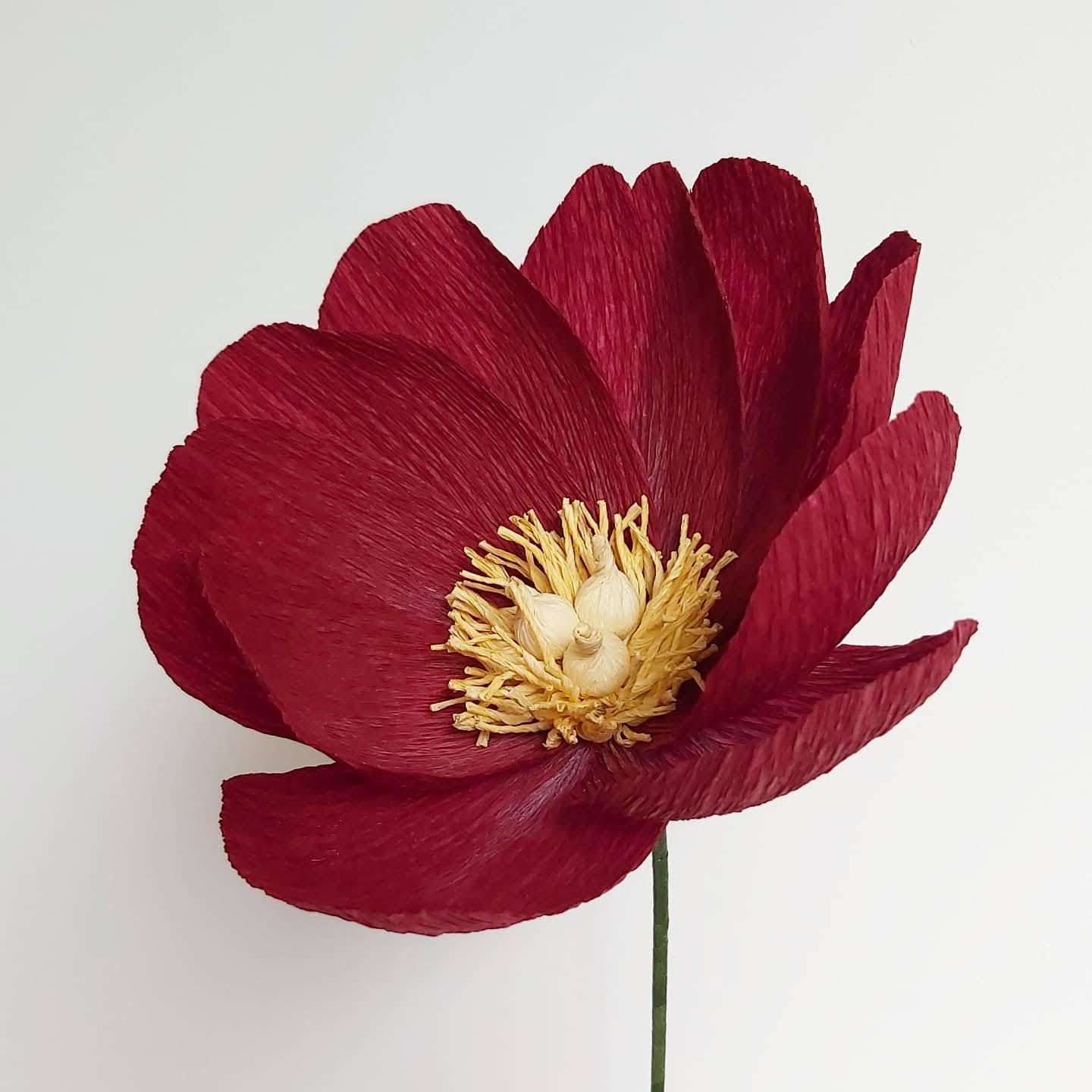 Workshop papieren bloemen BASIS — foto 3