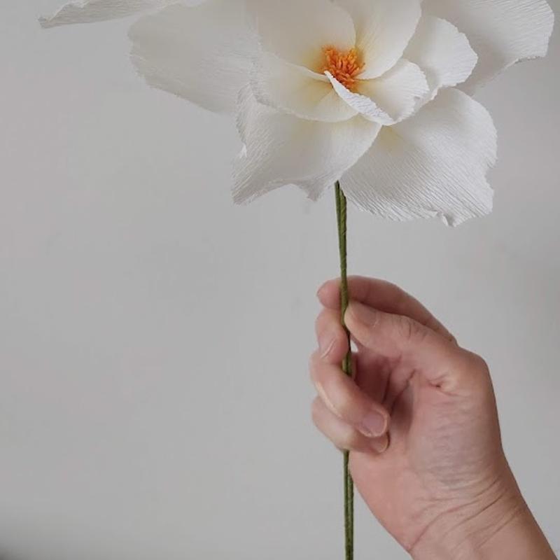 Workshop papieren bloemen GEVORDERDEN — foto 2