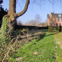 Beeldhouw 4-daagse