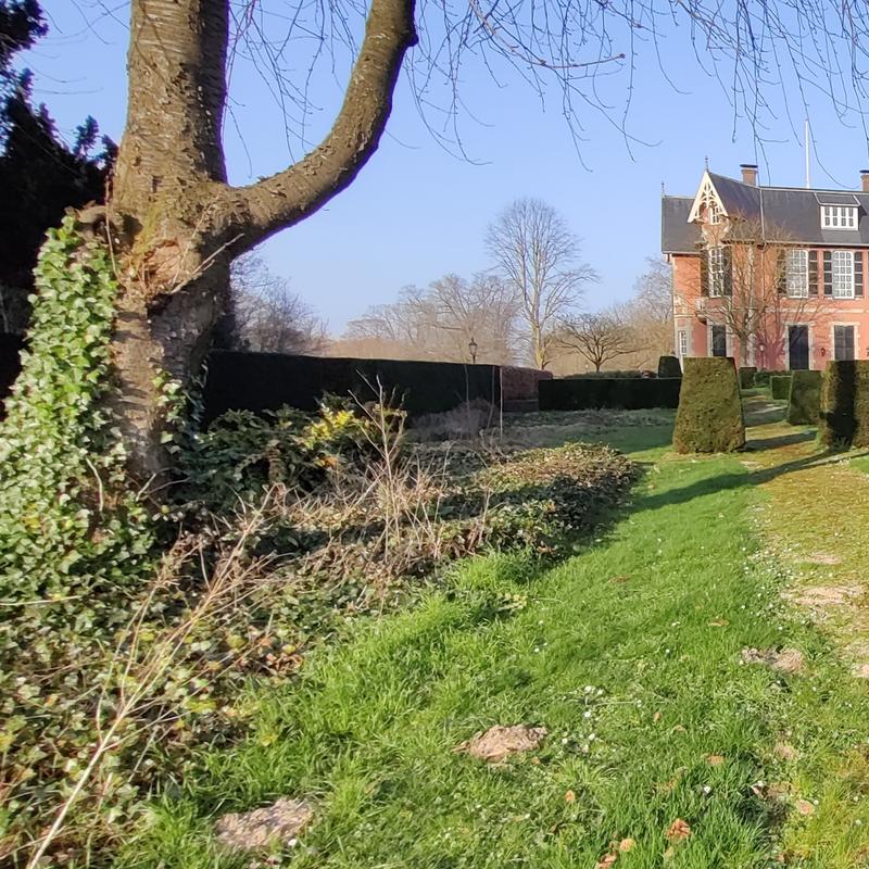 Beeldhouw 4-daagse — foto 5