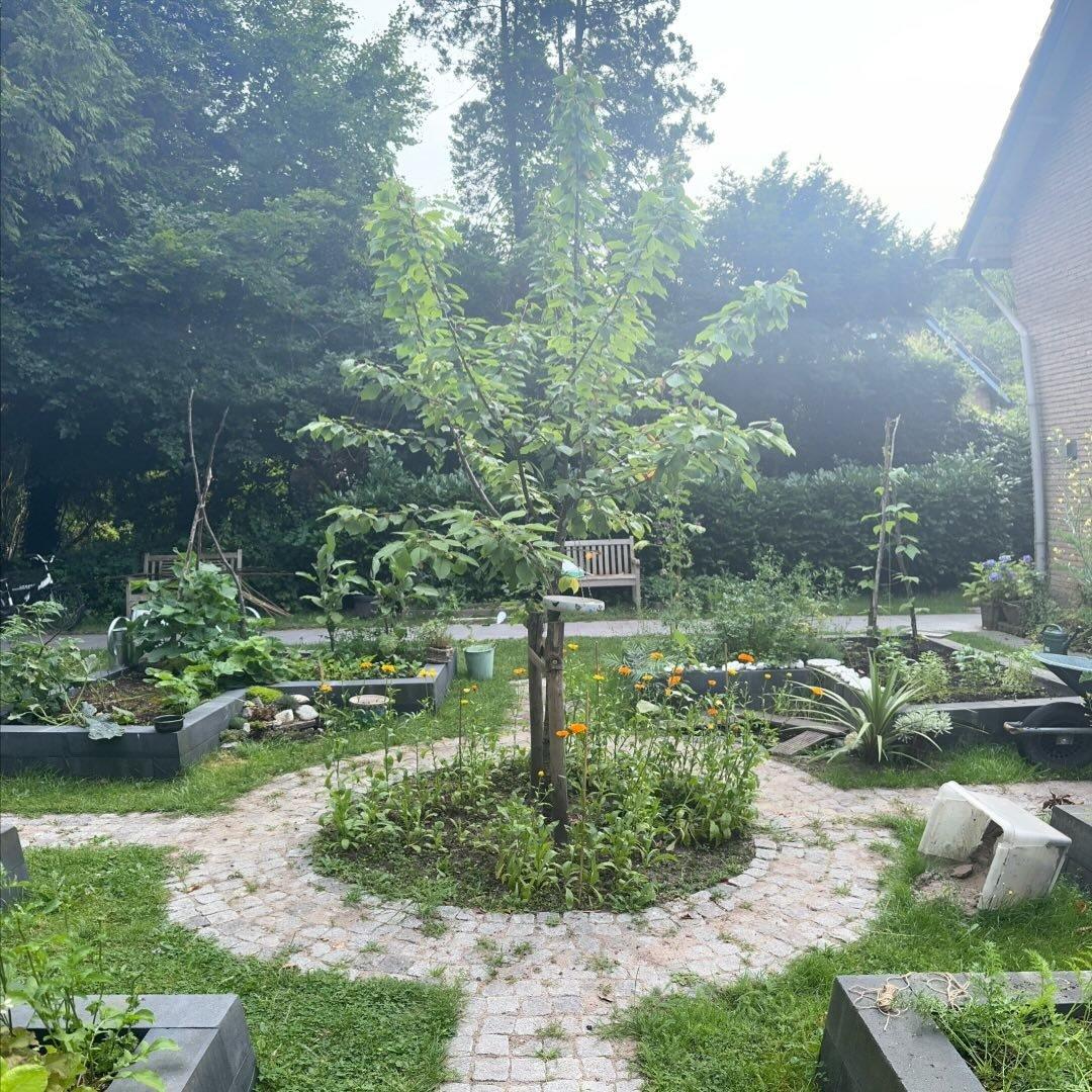 Kruidenworkshop: Kruidenthee maken — foto 2