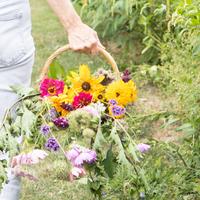 Workshop bloemen plukken & tegel maken 