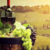 Italiaanse schilderworkshop