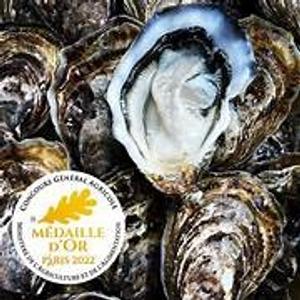 Cursus Frans voor gevorderden