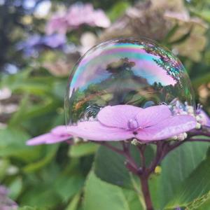 Workshop Smartphone Fotografie voor Kids