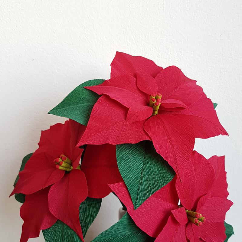 Workshop Poinsettia van Crêpepapier — foto 2