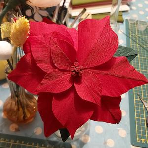 Workshop Poinsettia van Crêpepapier