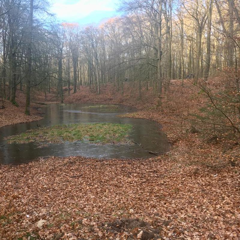 krachtplekwandelingen op de Veluwe — foto 2