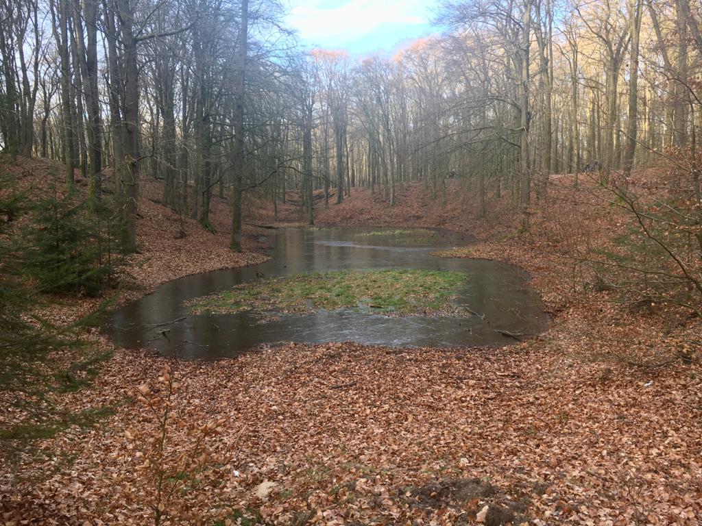 krachtplekwandelingen op de Veluwe — foto 1