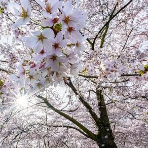 Workshop Smartphone fotografie