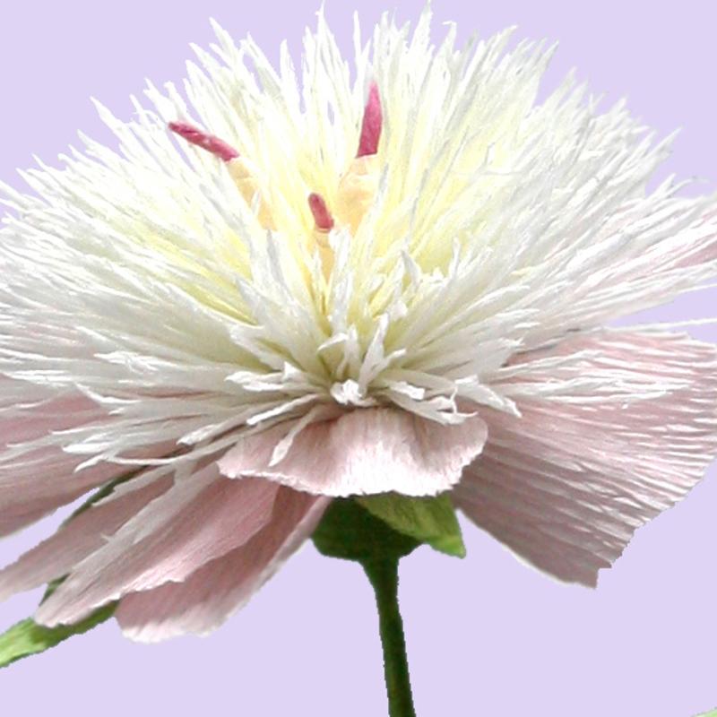 Een papieren bloem maken — foto 2