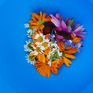 Kruidentinctuur en aurasprays