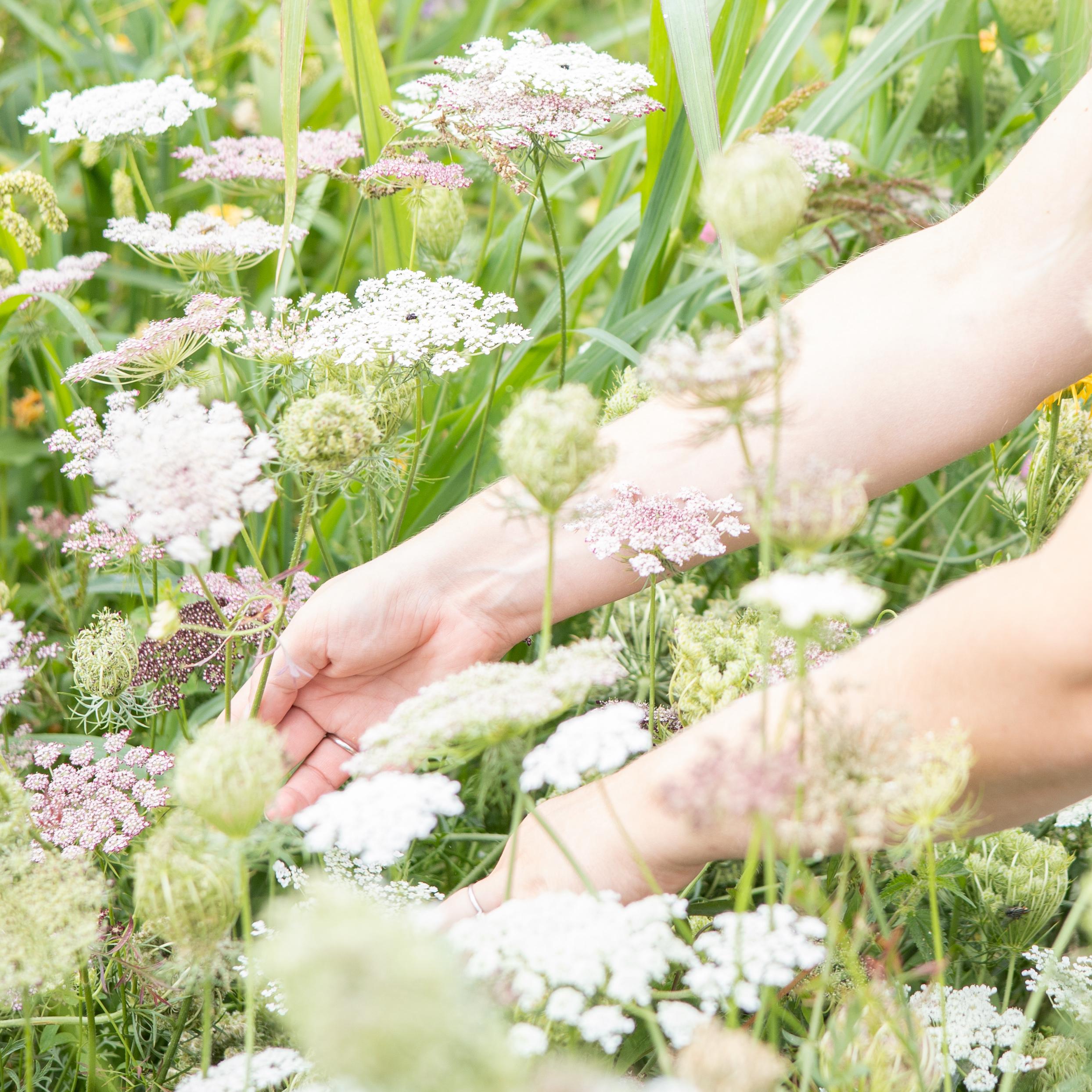 Workshop bloemen plukken & tegel maken  — foto 3