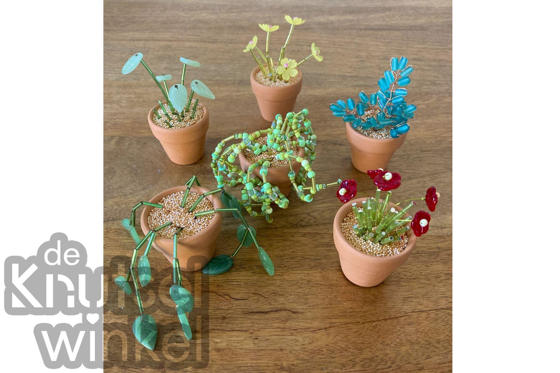 Prachtige Plantjes (kralenplantjes) — foto 2