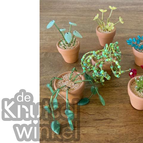 Prachtige Plantjes (kralenplantjes)