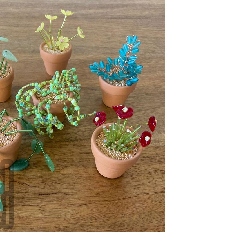 Prachtige Plantjes (kralenplantjes) — foto 2