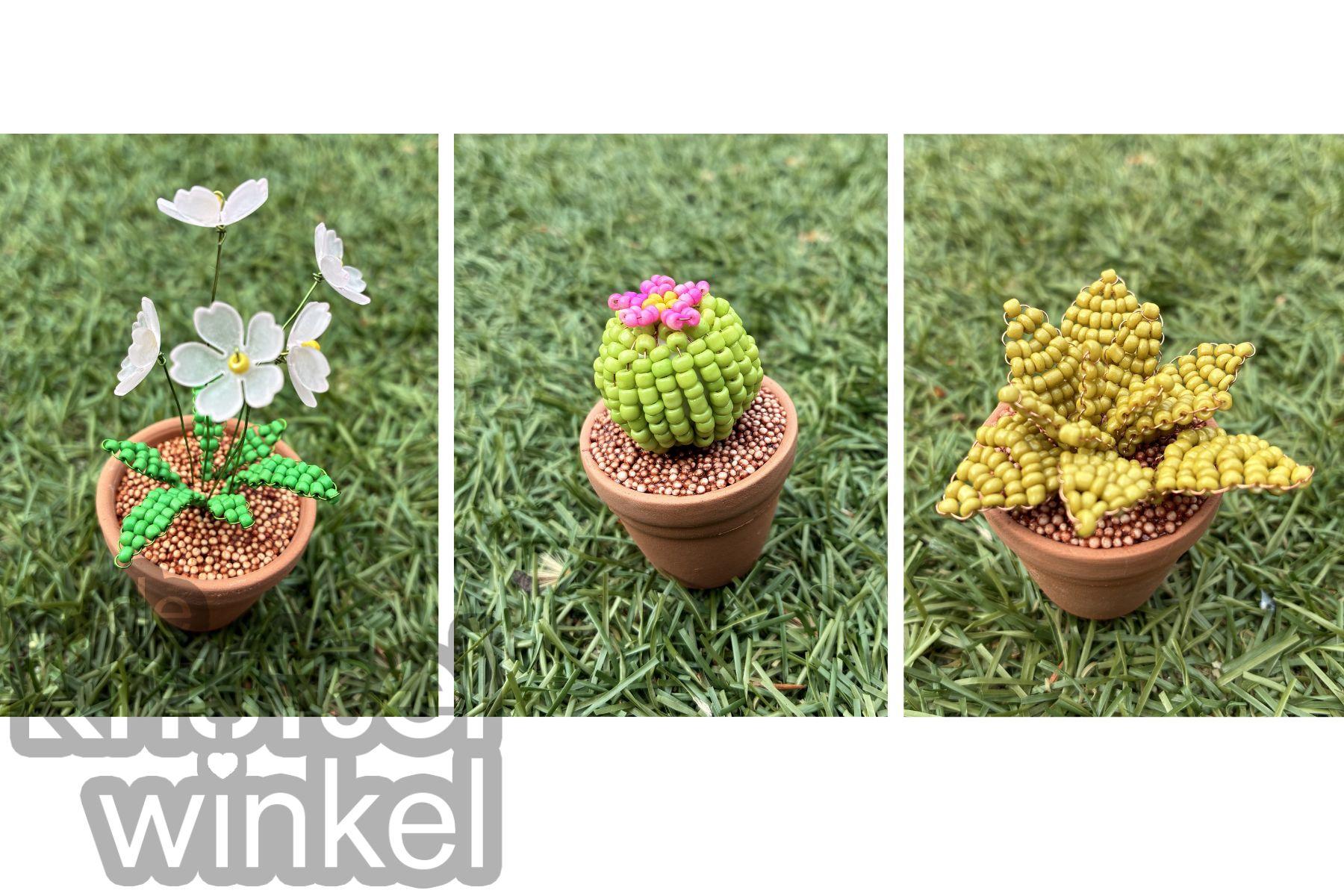 Prachtige Plantjes (kralenplantjes) — foto 3