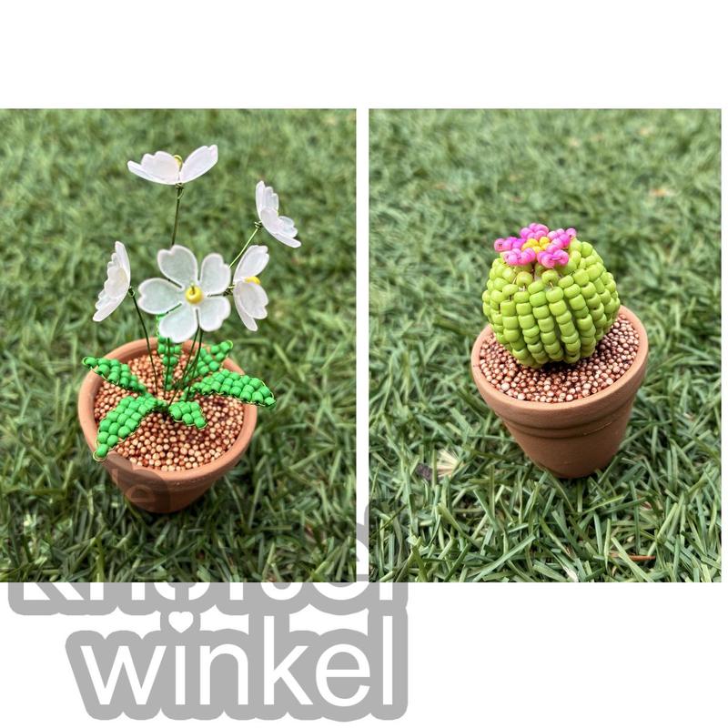 Prachtige Plantjes (kralenplantjes) — foto 3