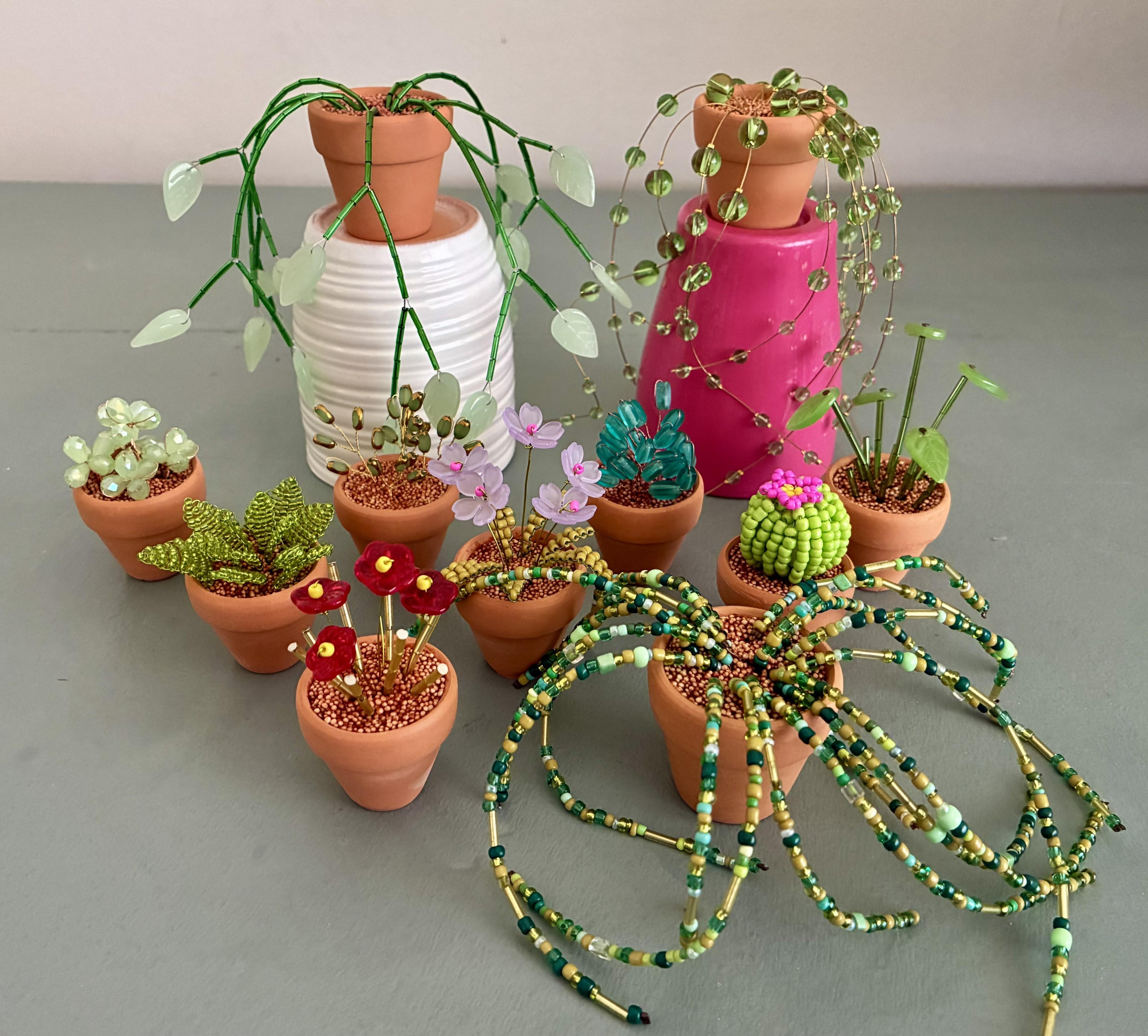 Prachtige Plantjes (kralenplantjes) — foto 1