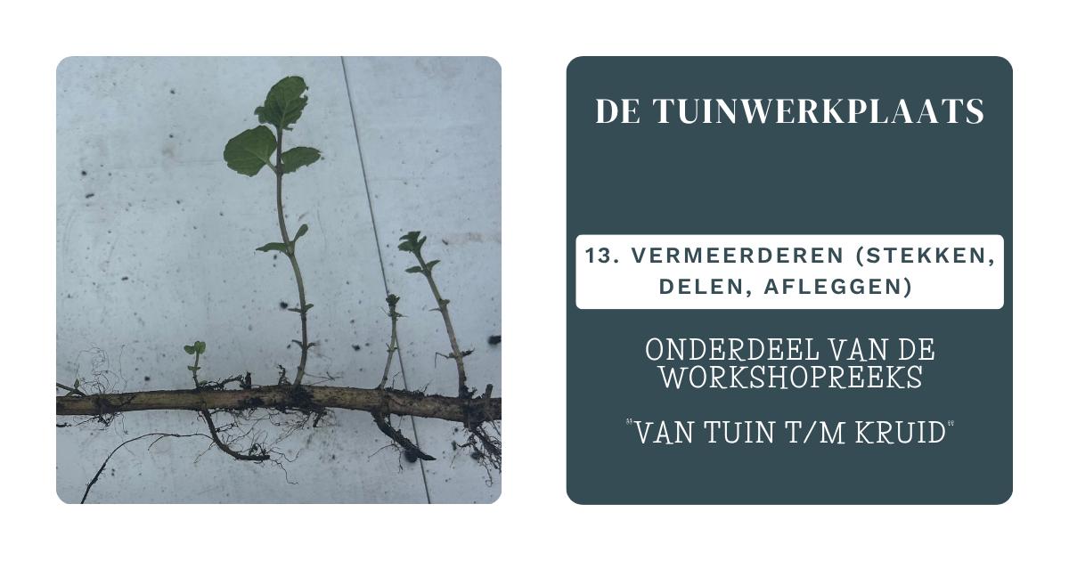 Tuinwerkplaats — foto 2