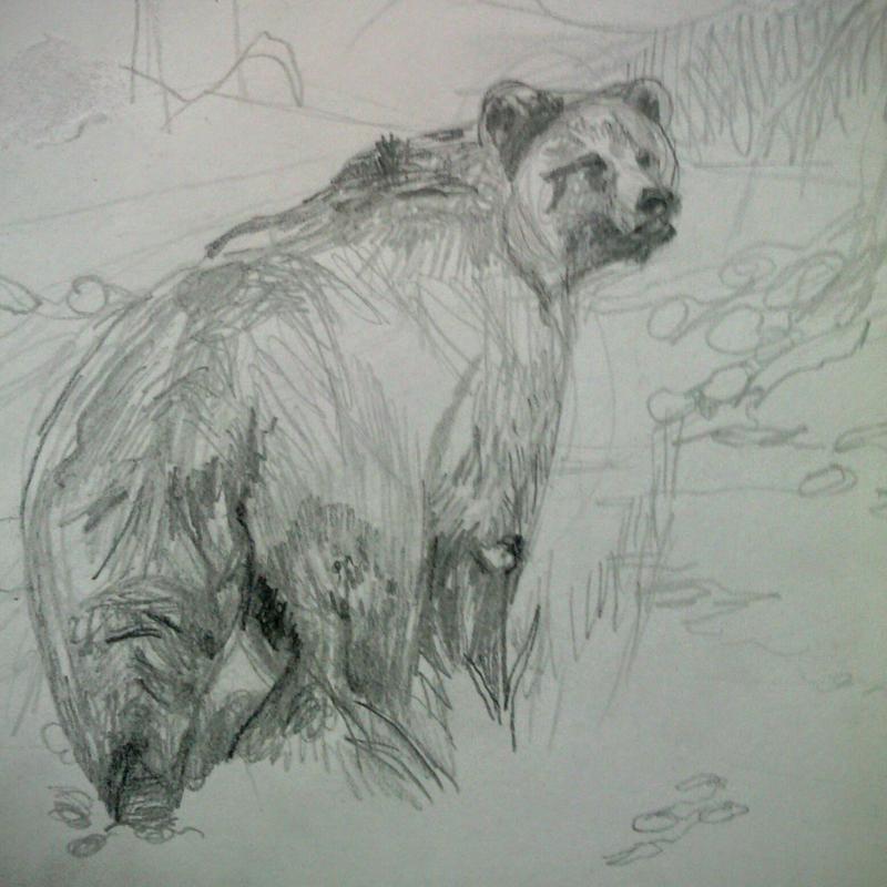 Weekend Workshop Tekenen North American Animals — foto 3